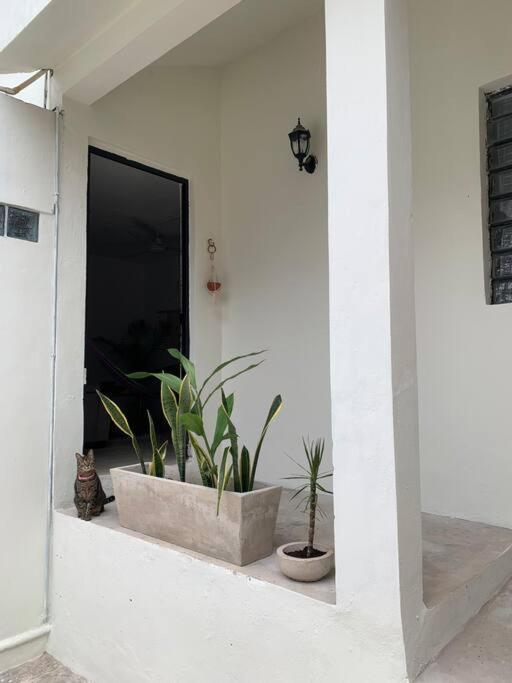 فيلا Private Full House With Pool And Cozy Patio فالادوليد المظهر الخارجي الصورة