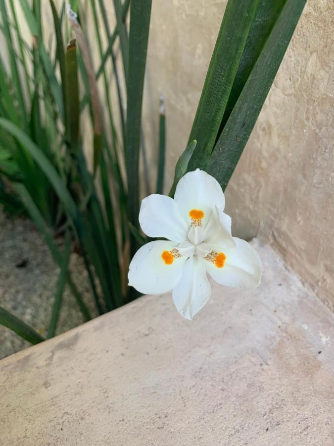 فيلا Private Full House With Pool And Cozy Patio فالادوليد المظهر الخارجي الصورة
